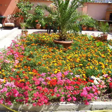 Guest House Chifchibashievi 2*